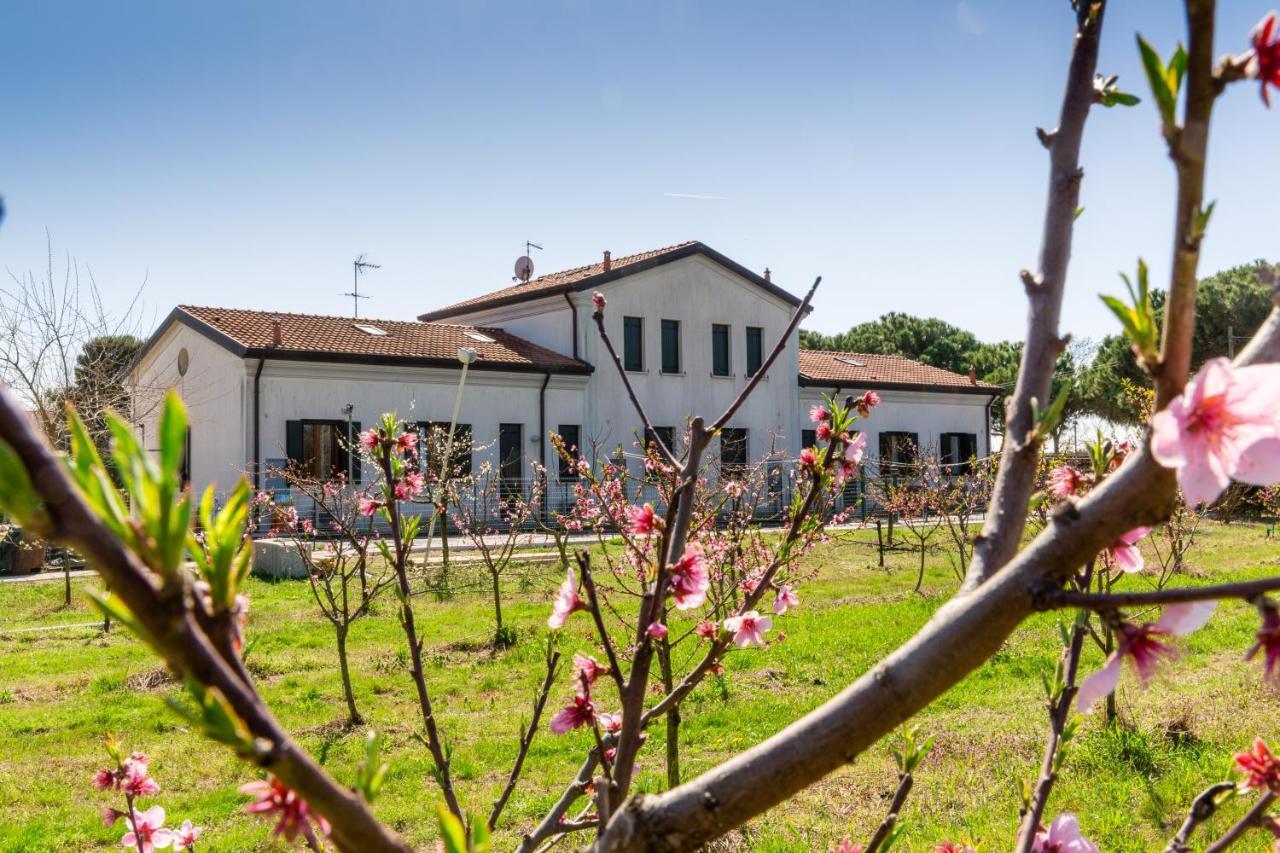 Agriturismo Ca' Baccan Cavallino-Treporti Exterior foto